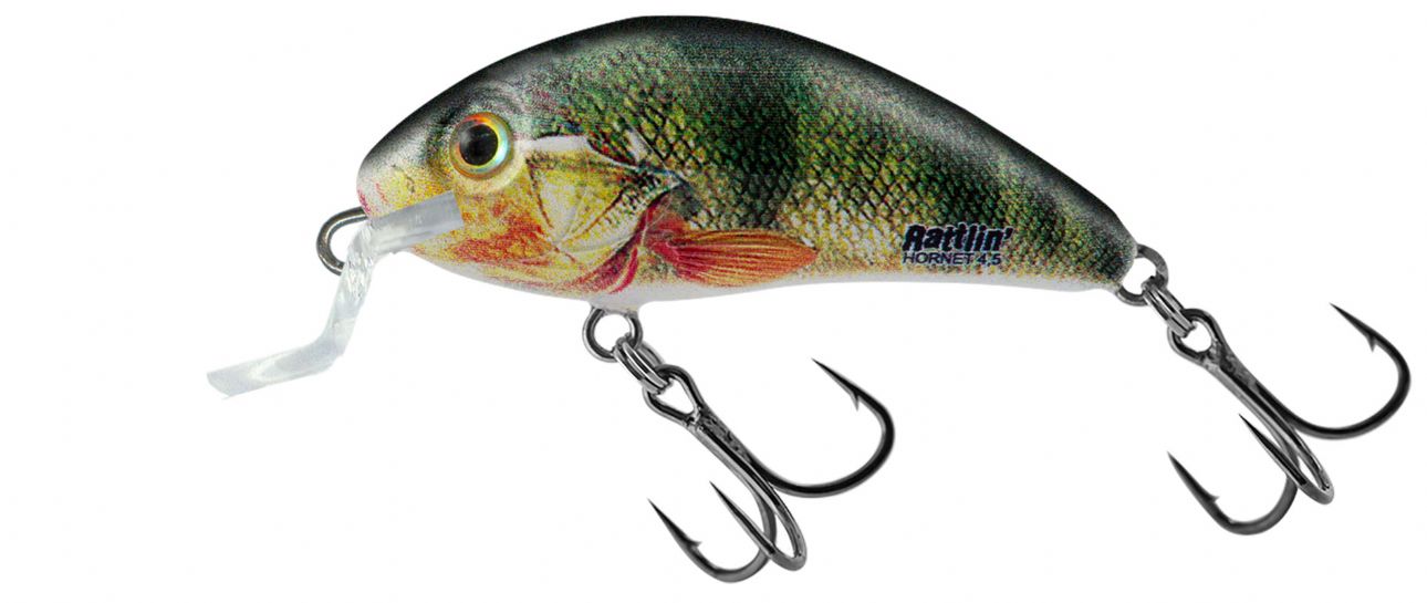 Salmo Rattlin Hornet Shallow Runner 3.5cm